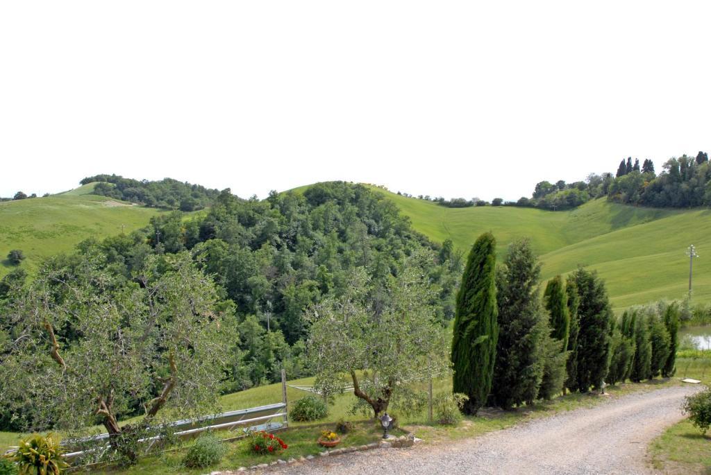 Villa Certine Agriturismo Asciano Exterior foto